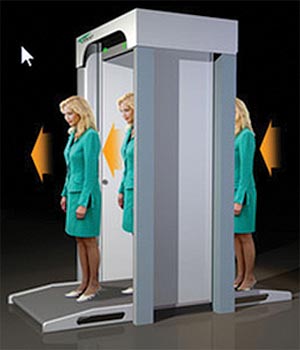 Door Frame Metal Detectors (DFMD)