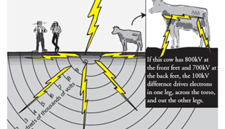 Lightning safety outdoors