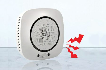 Gas Detectors : Life-Saving Sentinels